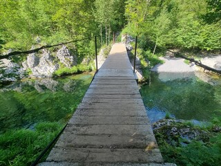 wooden bridge in the forest in Albania