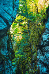 Horma Canyon. Kure Mountains National Park. Horma Canyon hiking trail. Turkey travel. Pinarbasi, Kastamonu, Turkey.