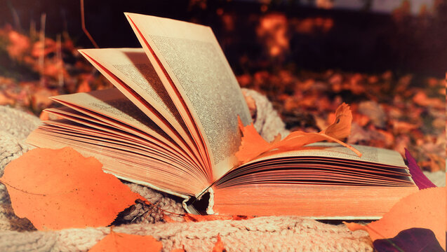 Moody autumn background with book,  yellow falling leaves and knitted plaid.