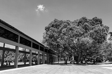 black and white building in Ibirapuera Park