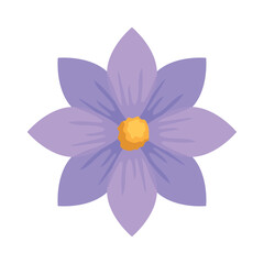 lilac garden flower