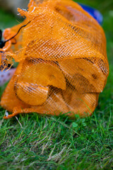 A bunch of alder firewood in an orange bag on green grass.