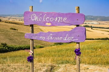 Vintage romantic welcome to my lavender garden sign. Travel to Provance or Tuscany, summer fields 
