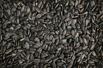 Roasted sunflower seeds background close up