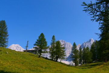 Almen an der Dachsteins&uuml;dwand 