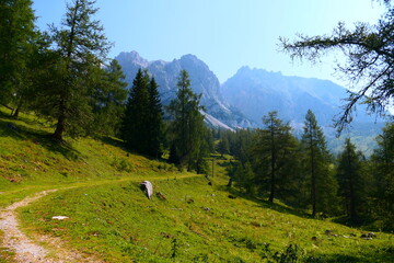 Almwiesen im Dachsteingebirge
