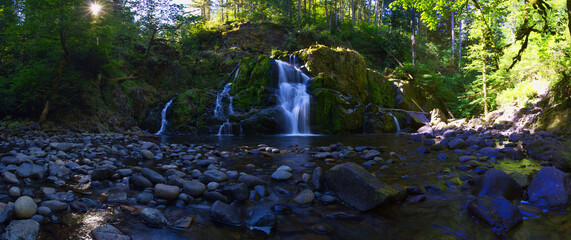 Panoramic view of Lower Little Mashel Falls in a forest of lush vegetation and evergreens in Eatonville, Washington.