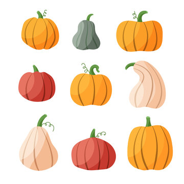 Pumpkin autumn hand drawn set. Thanksgiving and Halloween Elements. Green, yellow, orange and white pumpkins different size and shape isolated on a white background