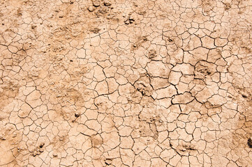 Dryland background. Dryland soil texture. Cracked dried dryland ground surface. Arid land