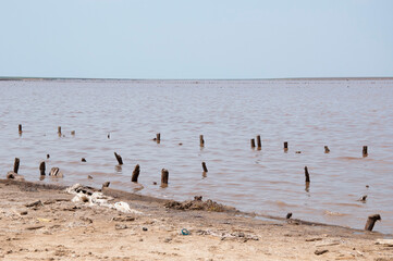 Shallow water. Wooden stakes in water. Sea or lake water horizon. Watercape sky background