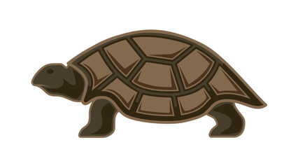 A yellow-brown land turtle isolated on a white background