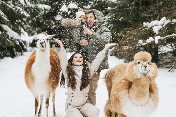 family of three young beautiful woman and man fashion stylish winter clothes overall, baby boy son standing and hugging with llama alpaca pet in snowy pine forest, winter spirit and family having fun © klavdiyav