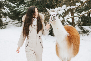 young beautiful woman in fashion stylish winter clothes overall walking and hugging with llama...