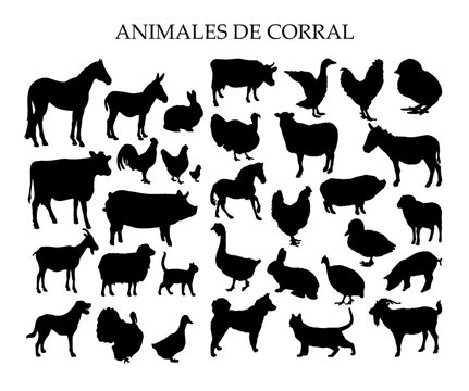 Animales de corral, silueta vectorial