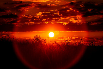 Red sunset of the hot sun on the background of the silhouette of a tree and dry grass. Red Sky. Global warming, climate change, extreme heat waves. Hot evening. Danger of fire.