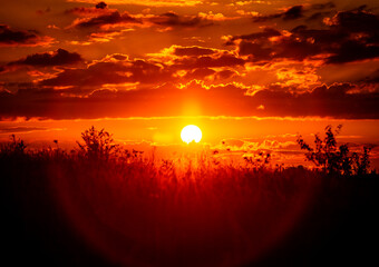 Red sunset of the hot sun on the background of the silhouette of a tree and dry grass. Red Sky. Global warming, climate change, extreme heat waves. Hot evening. Danger of fire.