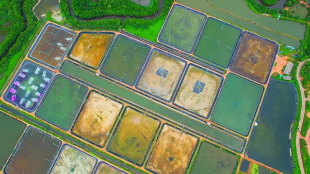 An aerial view over a drone flying over a large shrimp farm, Ponds for shrimp farming. Chumphon Province. Industry in Southern Thailand. 4k
