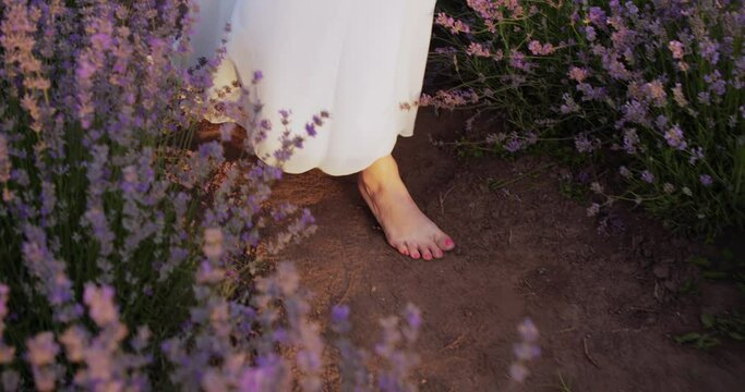 a girl in a white light dress walks with bare feet on a lavender field