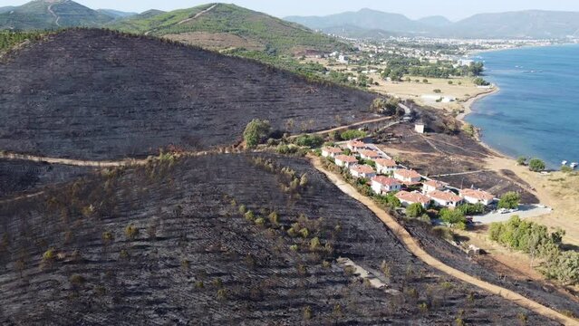 Izmir, Turkey - July 23, 2022: Aerial top view aftermath the forest fire at Derya site Seferihisar Doganbey Turkey