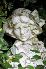 Obraz premium angel statue, close up shot