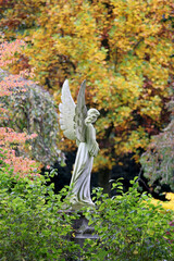 angel statue, close up shot - 519456173