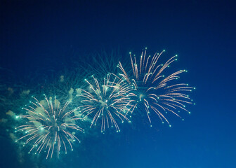 Firework over the blue sky at night, white, and green. Amateur photo. Noise. Grain.