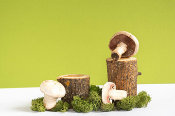 woodland decor and natural style. Wooden podiums with green moss and mushrooms on a white background. Still life for products presentation.