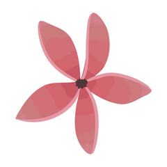 pink flower garden decoration
