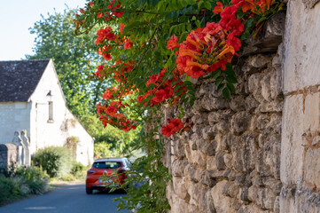 Country lane in the picturesque village of Crissay sur Manse. The village is considered one of the most beautiful in France.