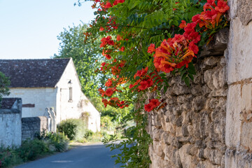 Country lane in the picturesque village of Crissay sur Manse. The village is considered one of the...