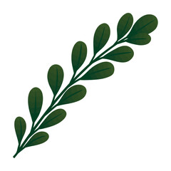 branch with leafs foliage