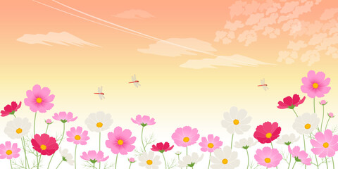 夕焼けとコスモス畑_イメージ背景（2：1）_ベクターイラスト © あ こ