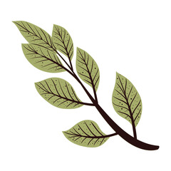 leafs foliage in branch
