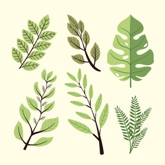 six branches with leafs