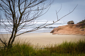 Beach, coast of the sea