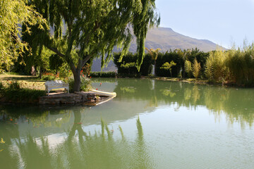 Obraz premium Bench and Canoe under tree