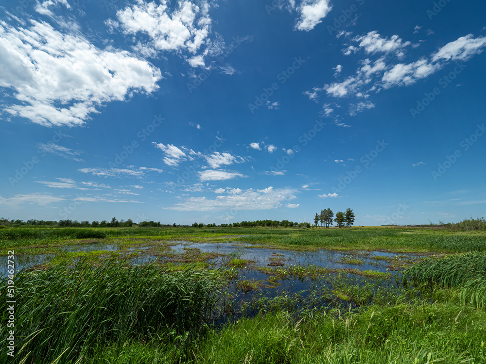 Wall mural landscape with a prairie and a sky with clouds