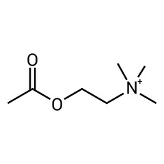chemical structure of Acetylcholine (C7H16NO2)