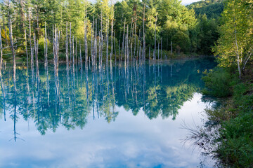 青空を写す秋の青い池　美瑛町
