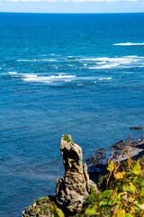 断崖と波立つ海
