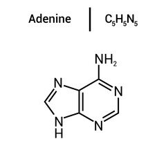 chemical structure of Adenine (C5H5N5)