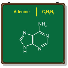 chemical structure of Adenine (C5H5N5)