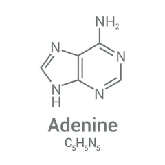 chemical structure of Adenine (C5H5N5)