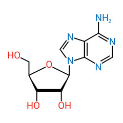 chemical structure of Adenosine (C10H13N5O4)