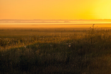 country meadow sunrise landscape background