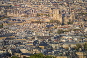 Obraz premium Quarter latin roofs and Notre Dame Cathedral at sunrise Paris, France