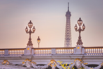 Fototapeta na wymiar Street lights in Pont Alexandre III and Eiffel Tower, Paris, france