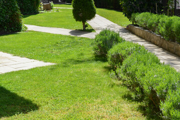 Green lawn with fresh grass, bushes and trees outdoors on sunny day
