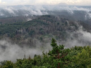fog in the mountains - Bohemian Switzerland Pravčice