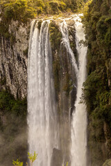 waterfall in the forest